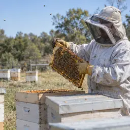 Representative image for Other Animal Production