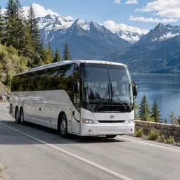 Representative image for Scenic and Sightseeing Transportation, Land